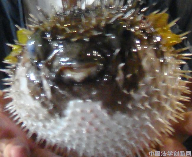 中國法學會組團赴臺考察交流回放